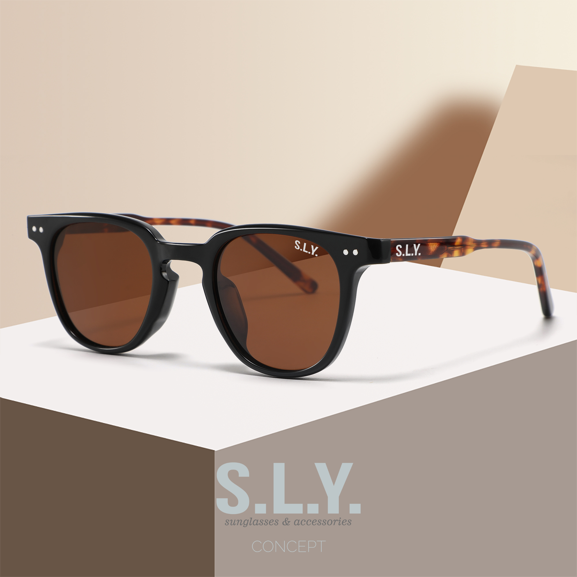 PRAGUE – Prague Tortoise